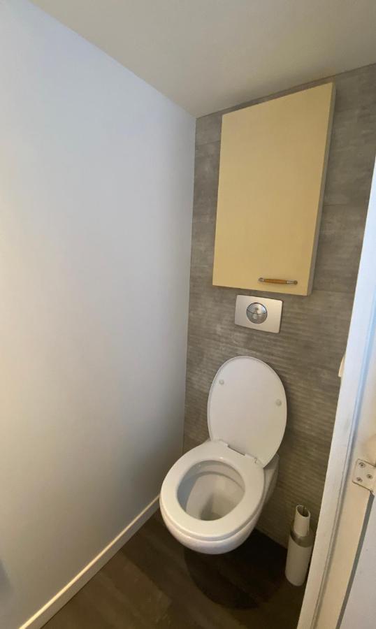 Апартаменты T3 En Duplex Pour 6 Pers Bien Place Terrasse Et Parking Inclus Тулуза Экстерьер фото