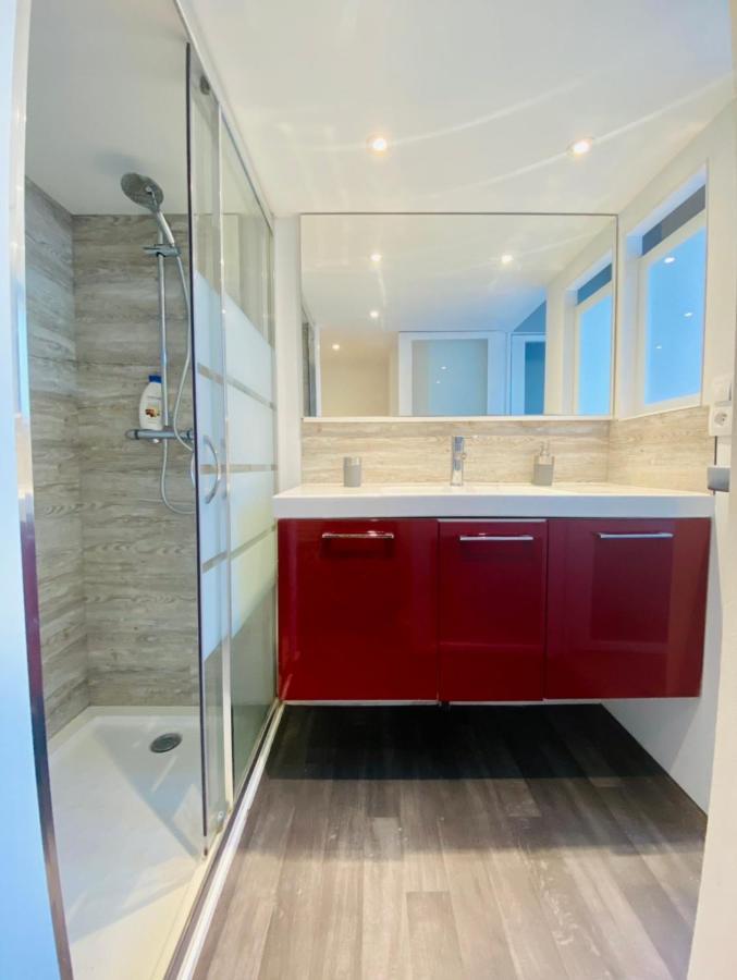 Апартаменты T3 En Duplex Pour 6 Pers Bien Place Terrasse Et Parking Inclus Тулуза Экстерьер фото