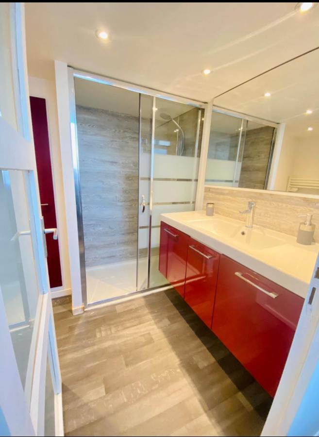 Апартаменты T3 En Duplex Pour 6 Pers Bien Place Terrasse Et Parking Inclus Тулуза Экстерьер фото